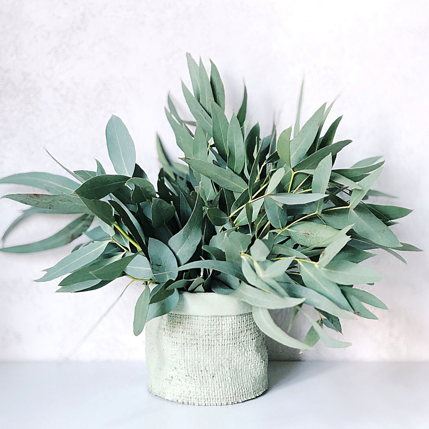 Flo Essential Oil - Organic Eucalyptus