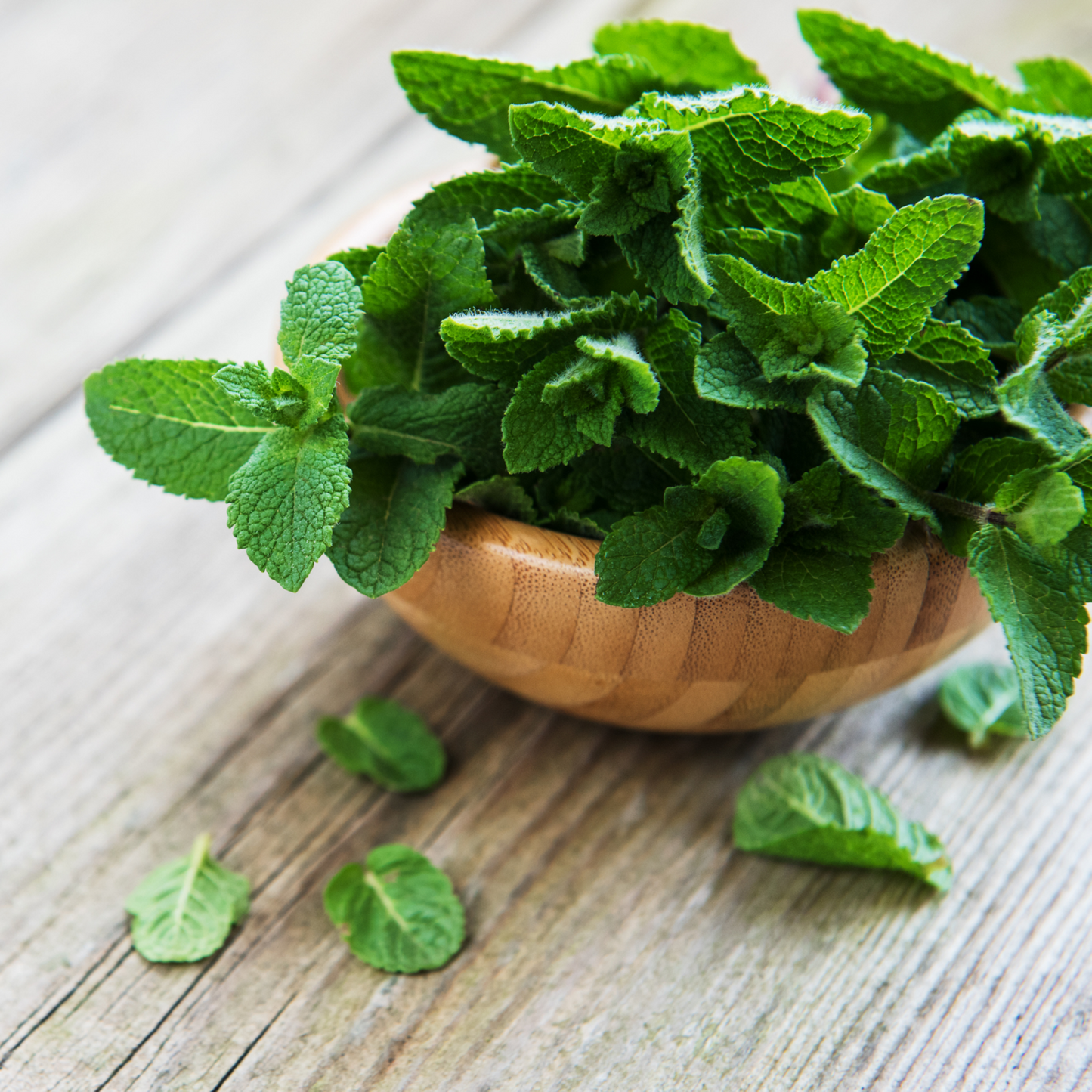 Flo Essential Oil - Organic Peppermint